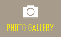 Image Gallery